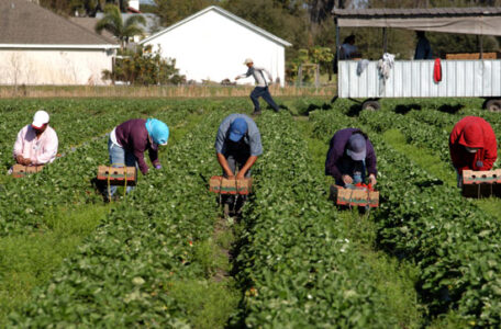 The Collective Memory of Migrant Workers Image